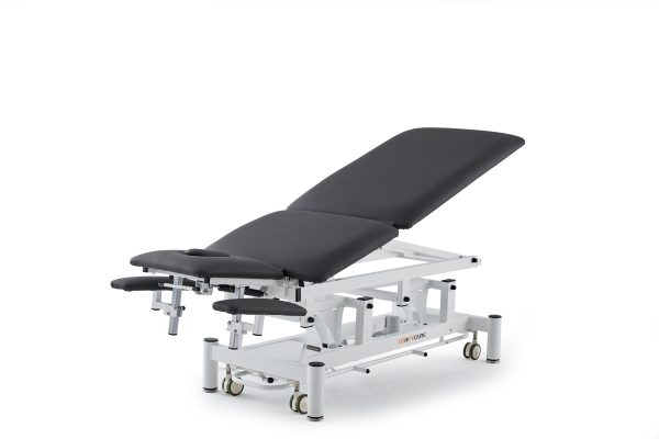 5-Section Treatment Table - Image 5