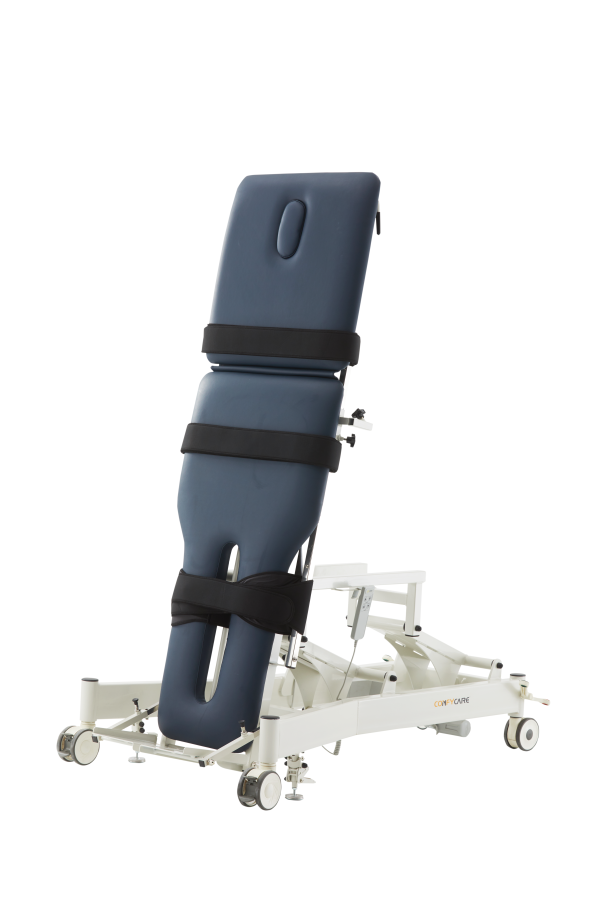 Electric Hi-Lo Tilt Table - Image 5