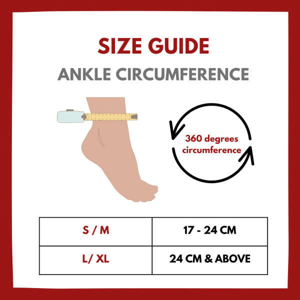 Ankle Support - Image 7